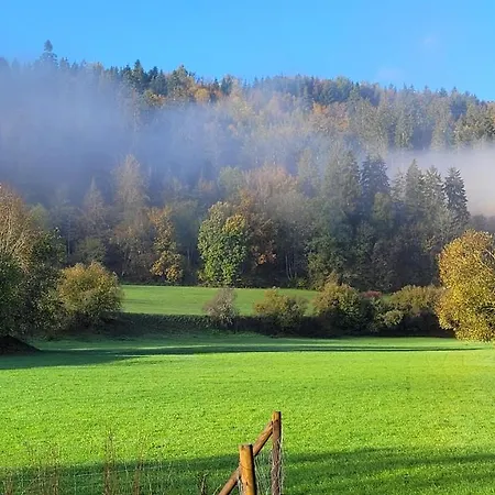 Am Schwarzwaldrand * נאגולד