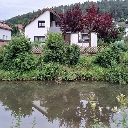 Am Schwarzwaldrand * נאגולד