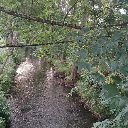 Am Schwarzwaldrand